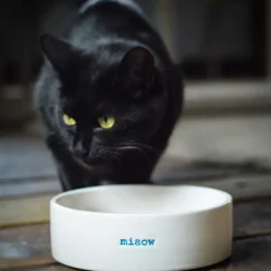 Keith Brymer Jones - Cat Bowl - miaow